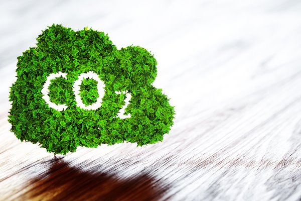 Green Carbon Cloud